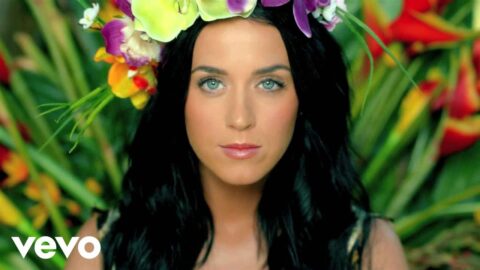 katy perry roar official